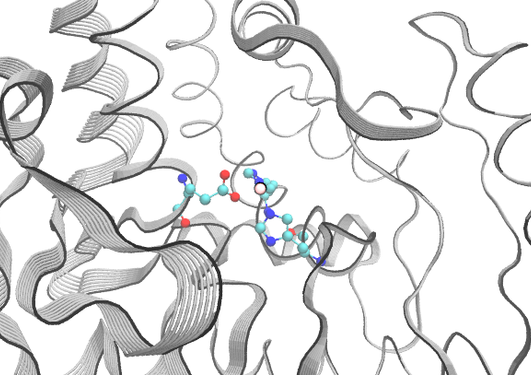 Conformational changes in PAH