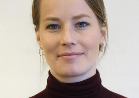 Åse Hestnes