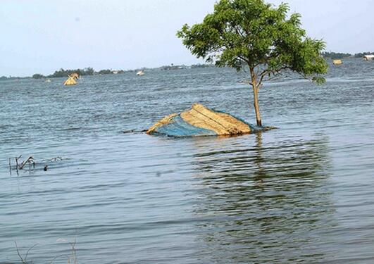 Flooded landscape