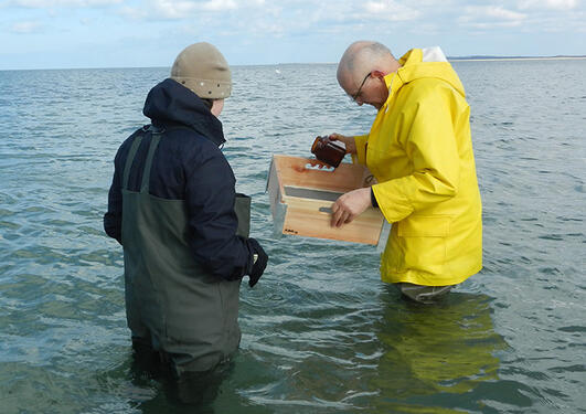 Professor Wranik (yellow coat) in action