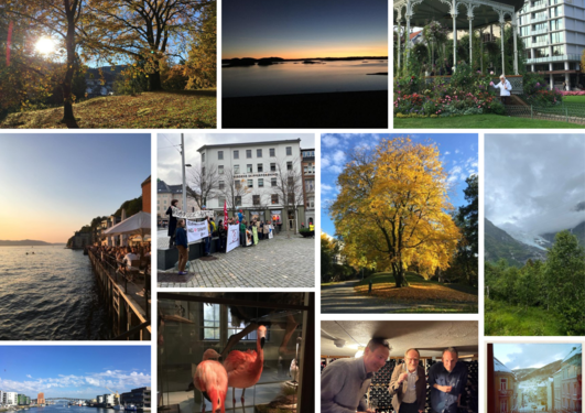 Kollasj med bilder av Bergen som viser undervisning, religiøse samfunn og byen.