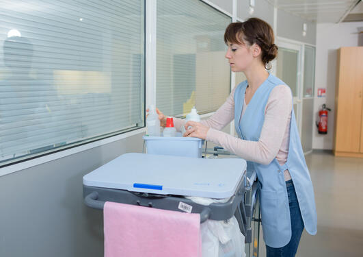 Woman cleaning