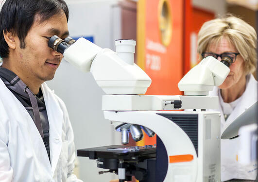 CCBIO research staff working in the lab