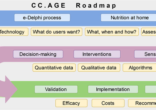Roadmap CC.AGE