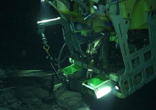 Remotely operated vehicle