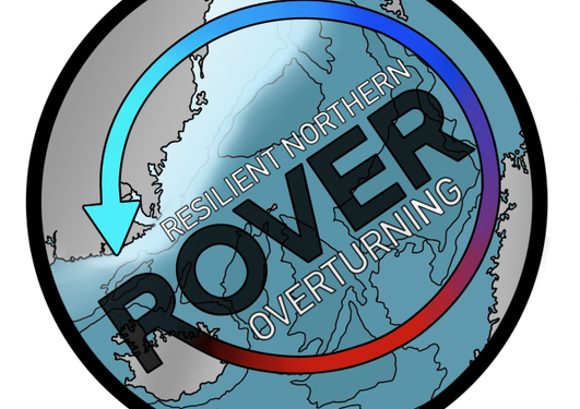 ROVER logo