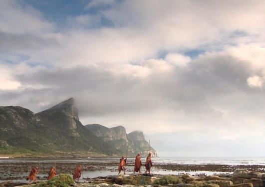 A picture from one of Craig Fosters films.