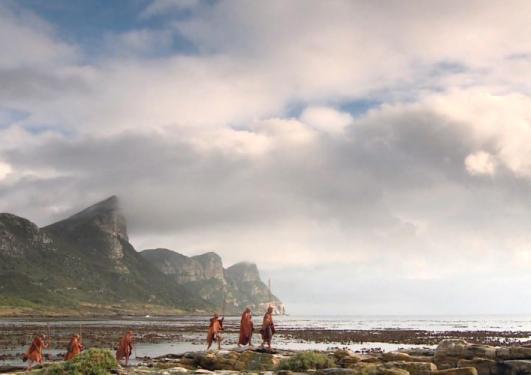 Bilde fra en av Craig Fosters filmer