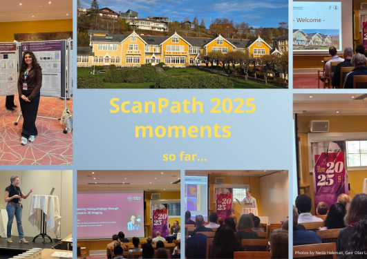 Collage of speakers, poster presenters and hotel at the ScanPath symposium.