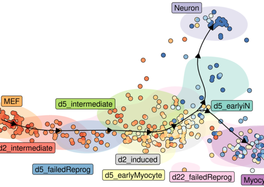 Novel machine learning challenges for modeling cell developmental dynamics