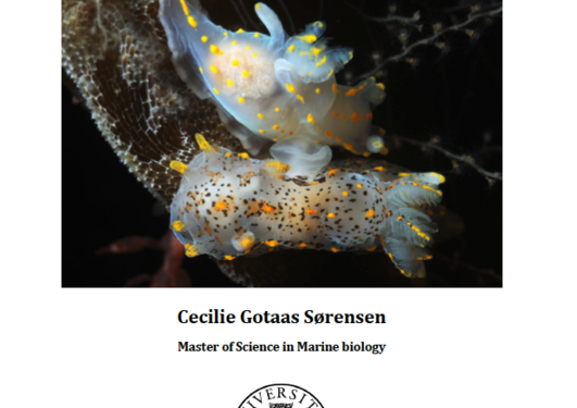 Cecilie Sørensen Thesis cover