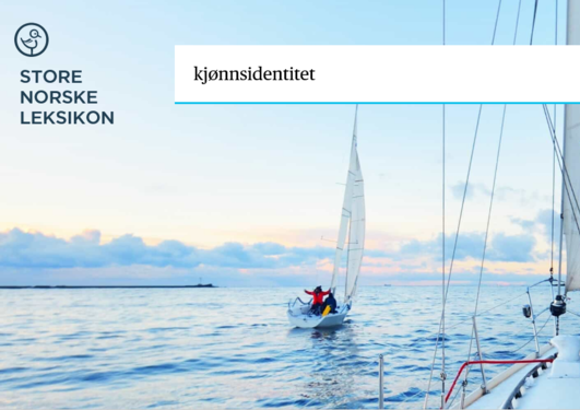 A view of a sailboat from the fore of another sailboat, the words Store norske leksikon in the top left corner, and "kjønnsidentitet" written in the search field