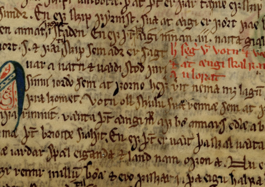 image of medieval law document