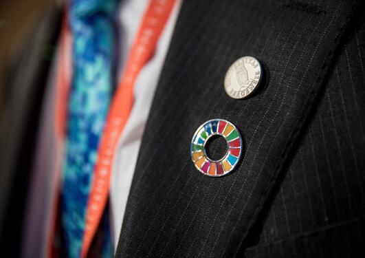 Close-up of SDG-pin and University of Bergen-pin on the suit jacket of one of the delegates at the inaugural SDG Conference Bergen in February 2018.
