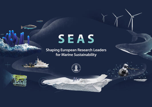 SEAS logo