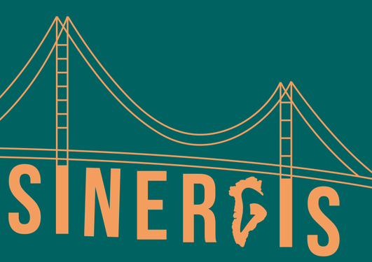 SINERGIS project logo