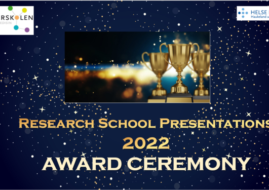 Presentasjon "research chool presentations 2022"