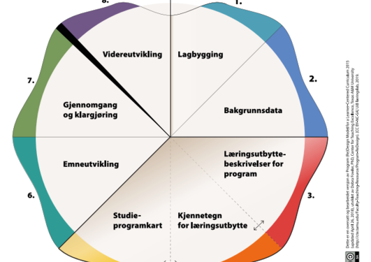 Figur som viser UiBs modell for helhetlig utvikling av studieprogram