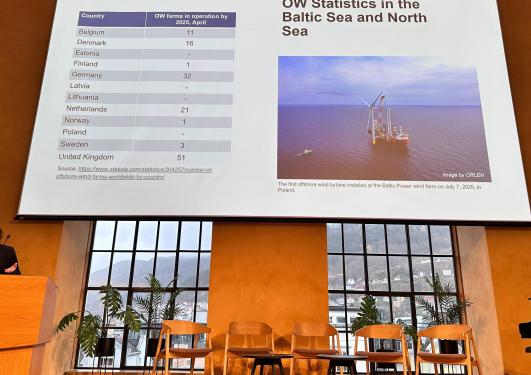 Leila Neimane speaking at SMI conference