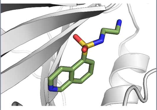 Collage relatert til Forskningsenheten structural biology and drug discovery