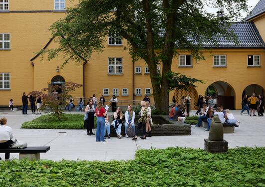 Studenter i Borggården på Sydnehaugen skole