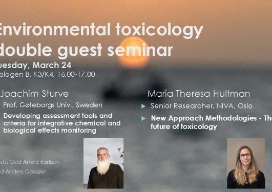 Posteroppslag om seminaret