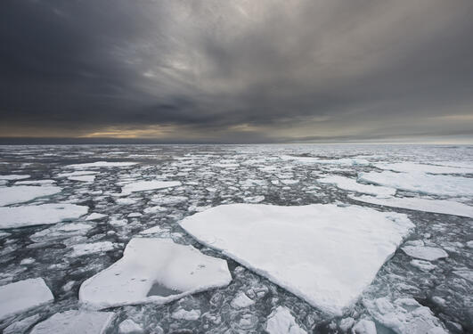 Photo of ice flakes in the Arctic under a grey sky.