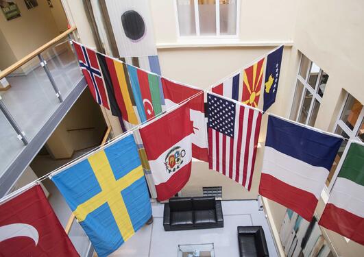 14 flags at the Department of Comparative Politics