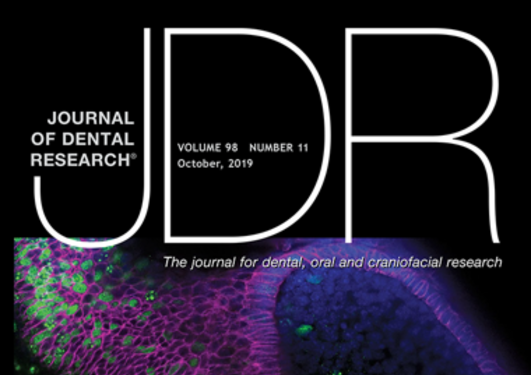 Cover image of Journal of Dental Research, October 2019 issue
