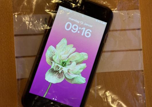 Store your mobile in a clean plastic bag while in the animal facility