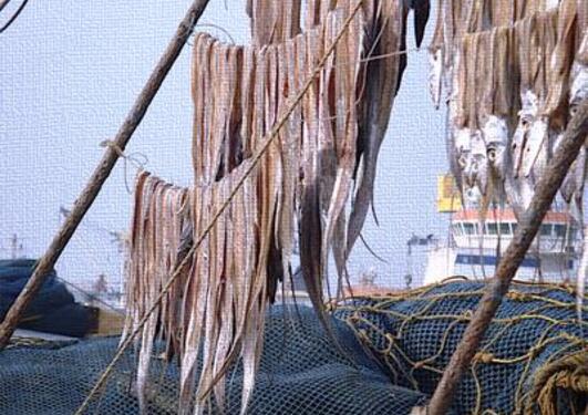Stockfish hanging from lines