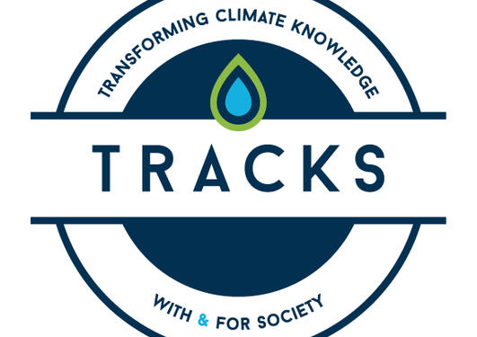 TRACKS logo