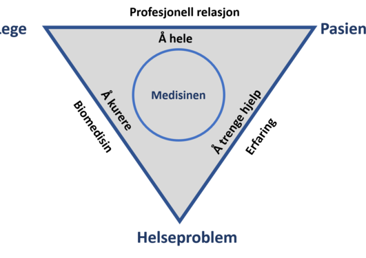 Lege - pasient - helseproblem