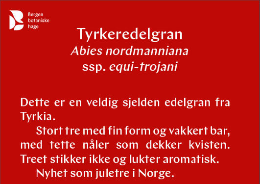 Tyrkeredelgran