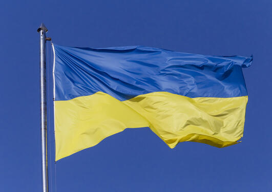 Ukrainsk flagg i vinden