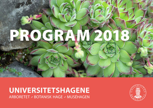 Program 2018