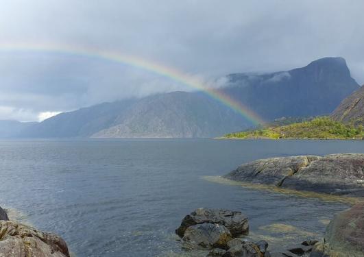 Vingen helleristingsfelt 