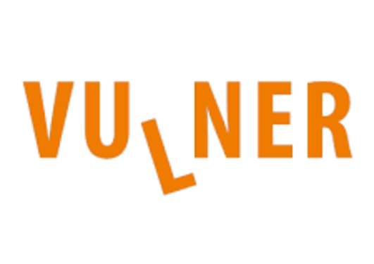 The text VULNER in orange letter, where the L is tilted downwards