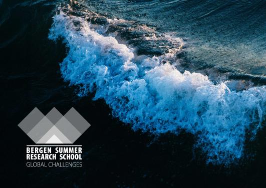 Wave and logo of BSRS