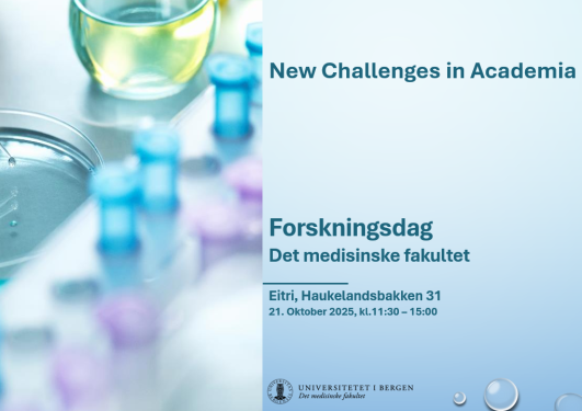 Plakat til Forskningsdag