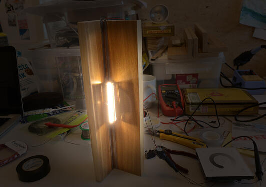 Sølve Westli illustrasjon