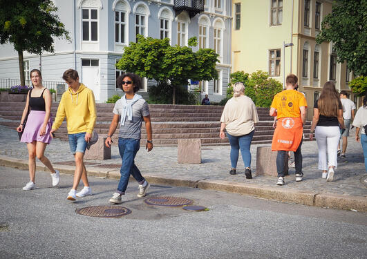 studere samfunnsfag 8 av 10 får jobb