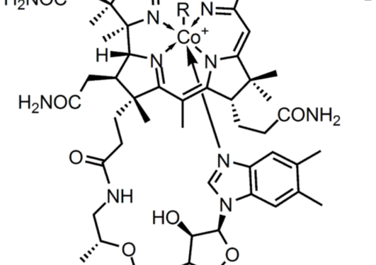 Vitamin B12