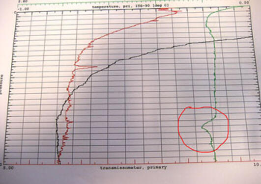 data from a CTD cast showing an Eh anomaly