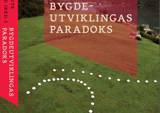 Omslagsbilde til "Bygdeutviklingas paradoks"