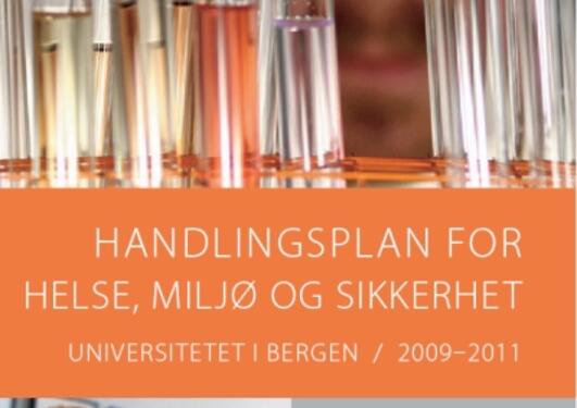 Handlingsplan for helse, miljø og sikkerhet 2009-2011.