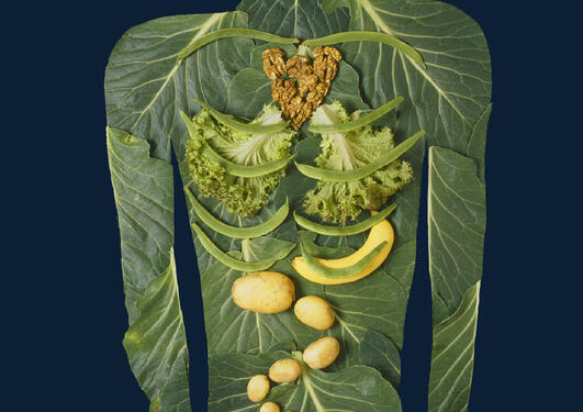 Hubro forside nr 3/2006