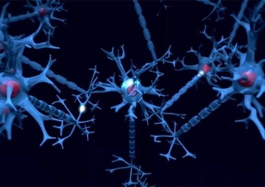 Nerveceller sender signaler til hverandre gjennom synapsene. Det vet vi en...