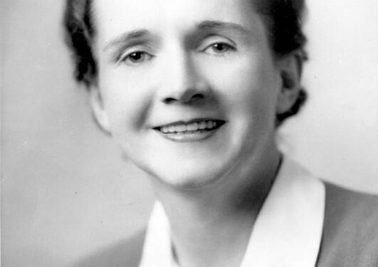 Rachel Carson var tilsett i United States Fish and Wildlife Service. Biletet...