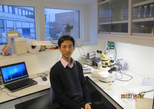 Shen, here pictured in the guppy lab, is the deputy director of the Fisheries...